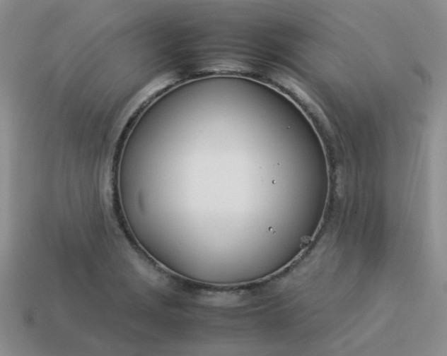 X0000114141229200910221518