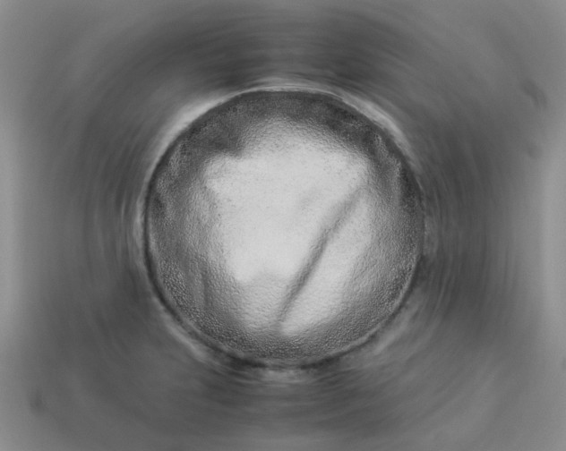 X0000114141231200910221518