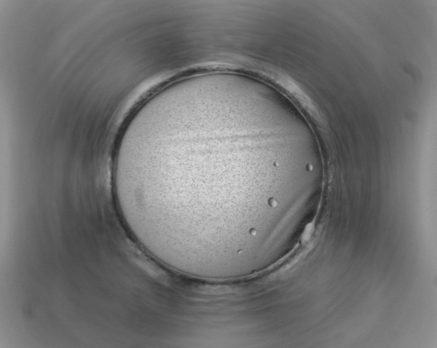 X0000114141232200910221518