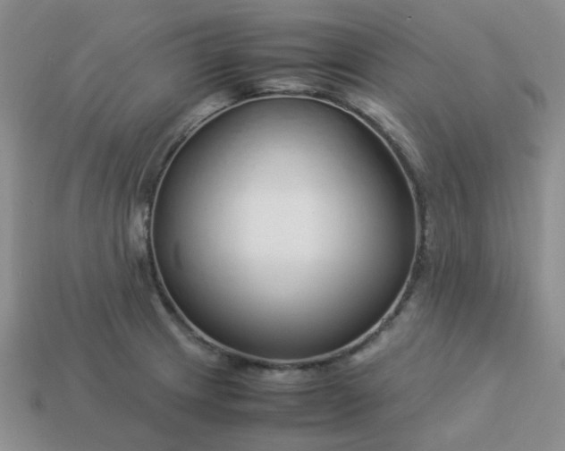 X0000114141233200910221518