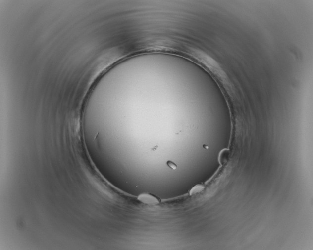 X0000114141234200910221518