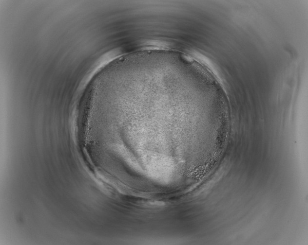 X0000114141235200910221518