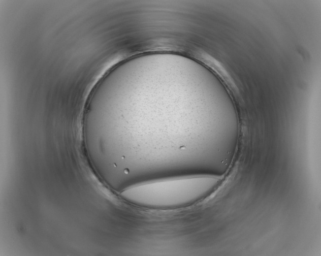 X0000114141236200910221518