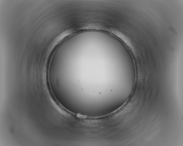 X0000114141237200910221518