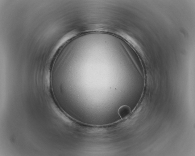 X0000114141238200910221518