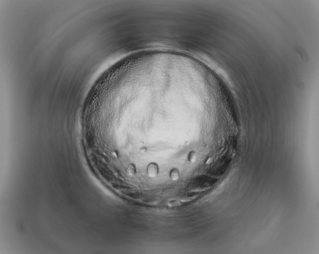 X0000114141239200910221518