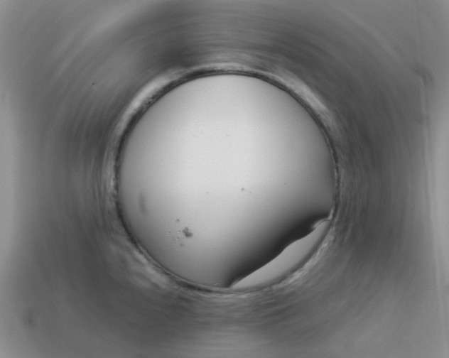 X0000114141240200910221518