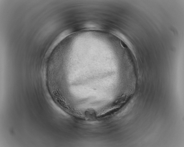 X0000114141243200910221518