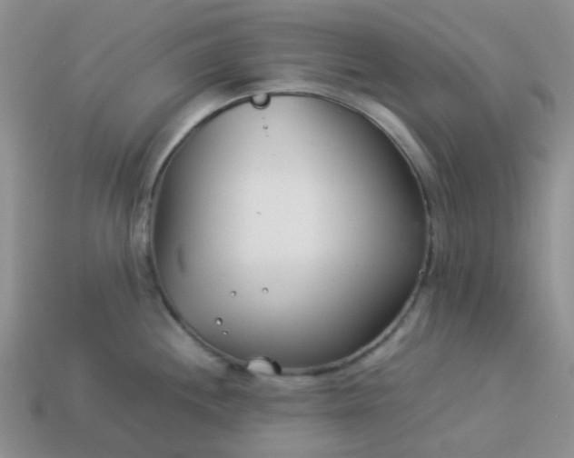 X0000114141244200910221518