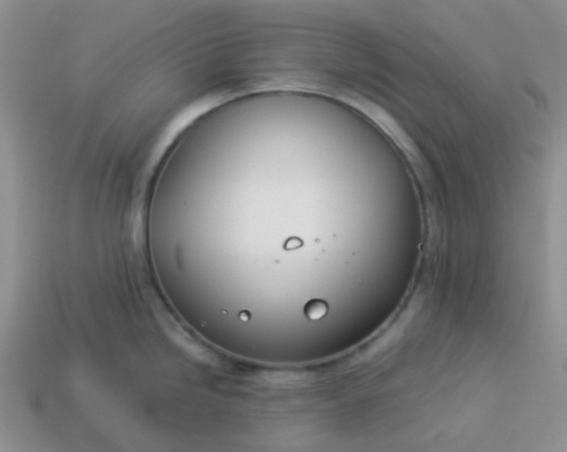 X0000114141246200910221518