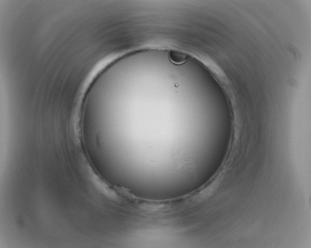 X0000114141248200910221518