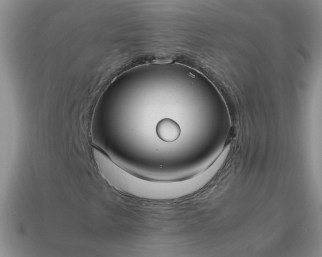 X0000114141249200910221518