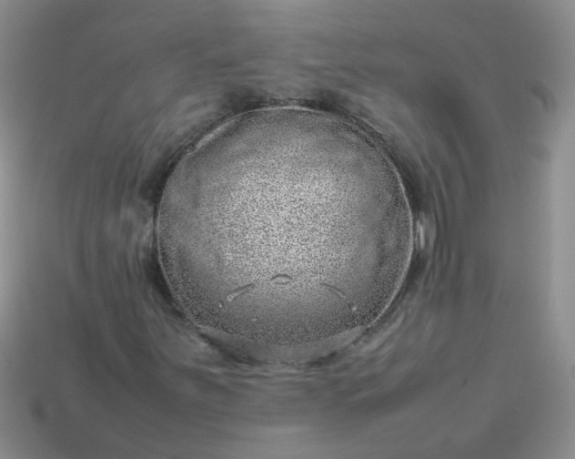 X0000114141251200910221518