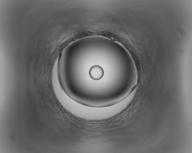 X0000114141253200910221518