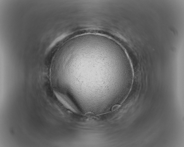 X0000114141255200910221518