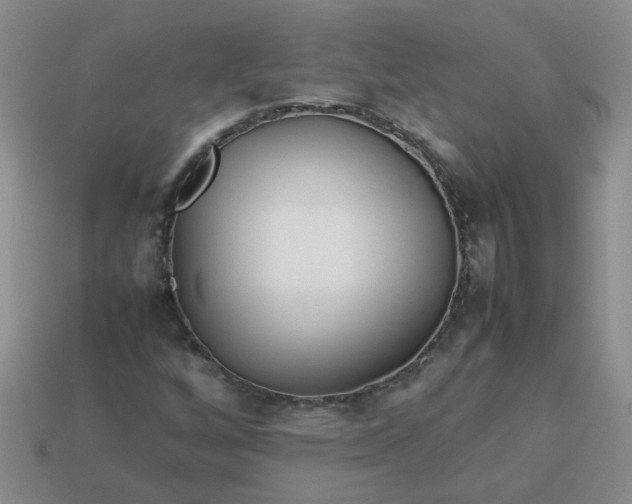 X0000114141256200910221518