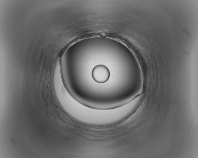 X0000114141257200910221518