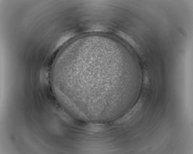 X0000114141258200910221518