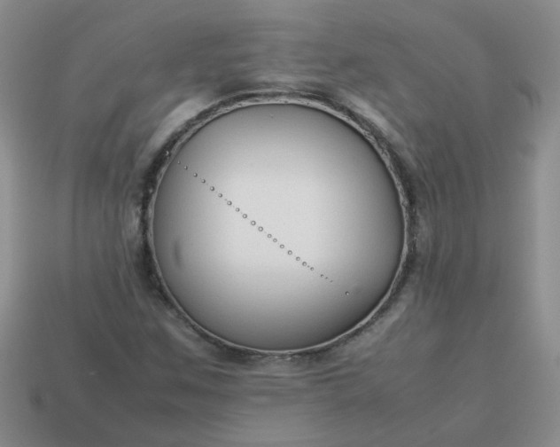 X0000114141259200910221518