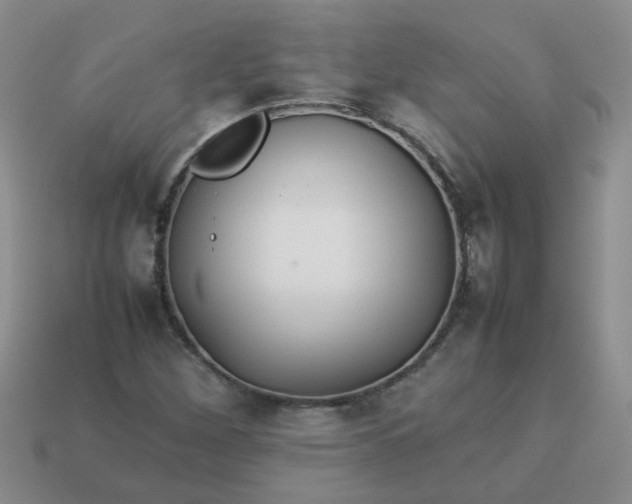 X0000114141260200910221518