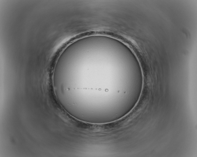 X0000114141263200910221518