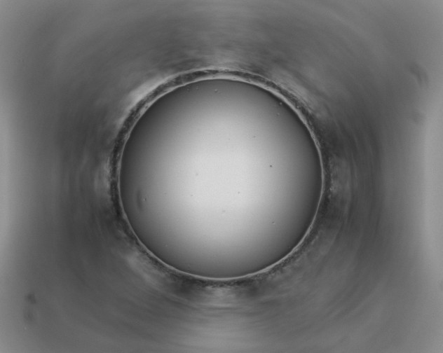 X0000114141264200910221518