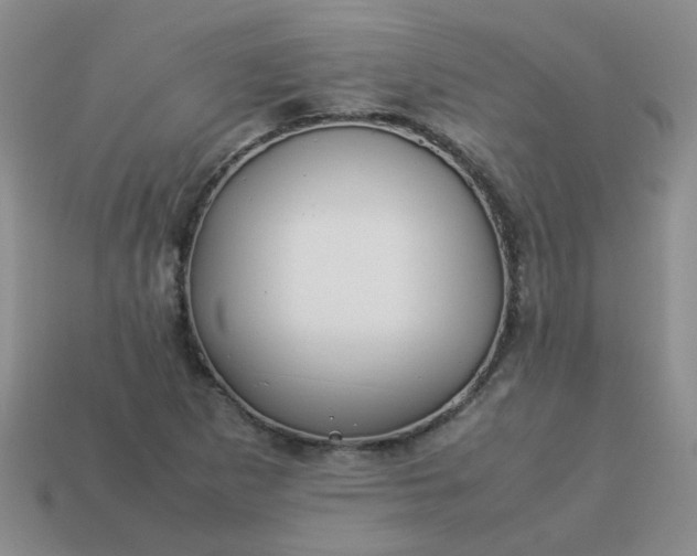 X0000114141265200910221518