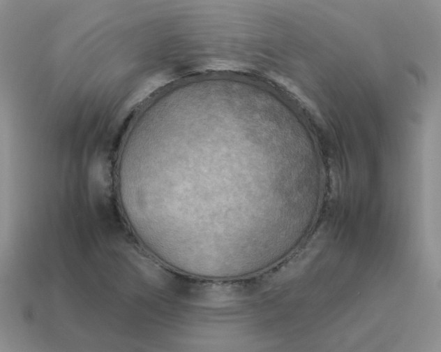 X0000114141266200910221518