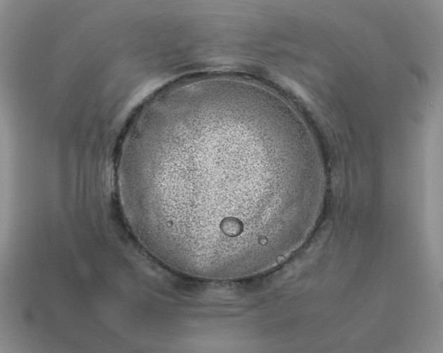 X0000114141267200910221518