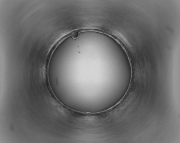 X0000114141268200910221518