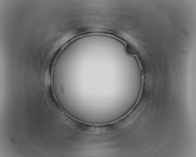 X0000114141269200910221518