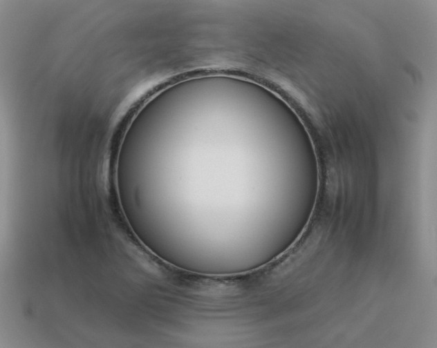 X0000114141270200910221518