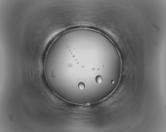 X0000114141271200910221518