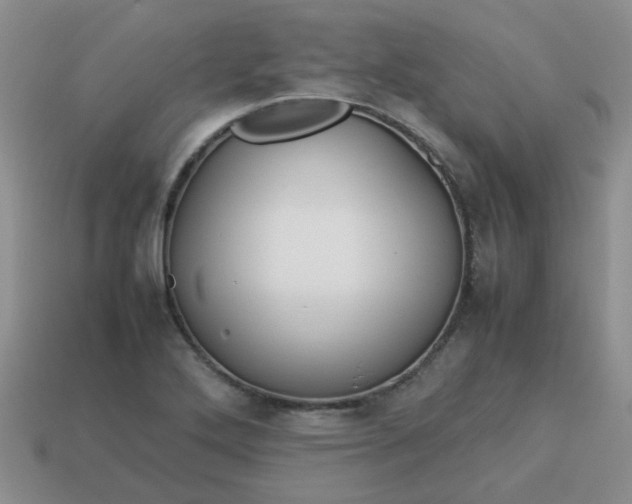 X0000114141272200910221518