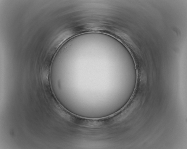 X0000114141273200910221518