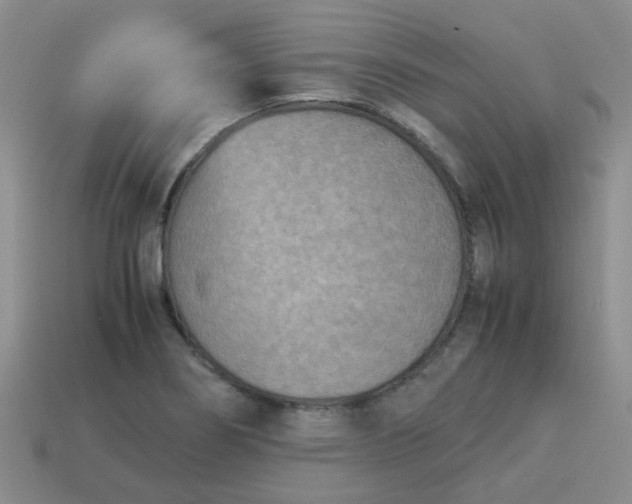 X0000114141274200910221518