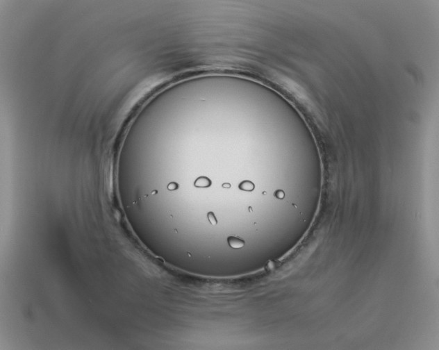 X0000114141275200910221517