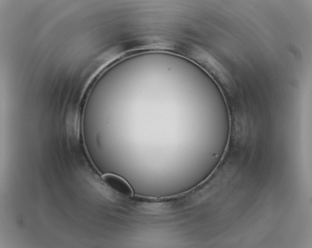 X0000114141276200910221517