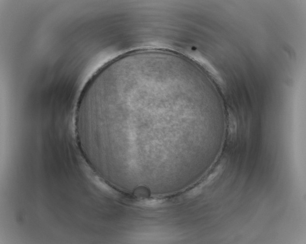 X0000114141278200910221517