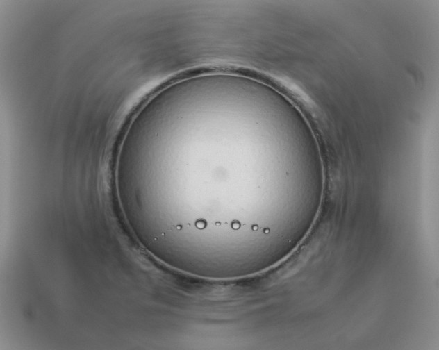 X0000114141279200910221517