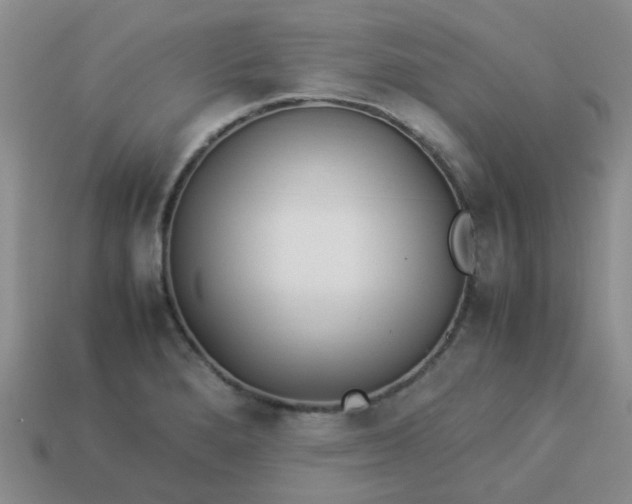 X0000114141280200910221517