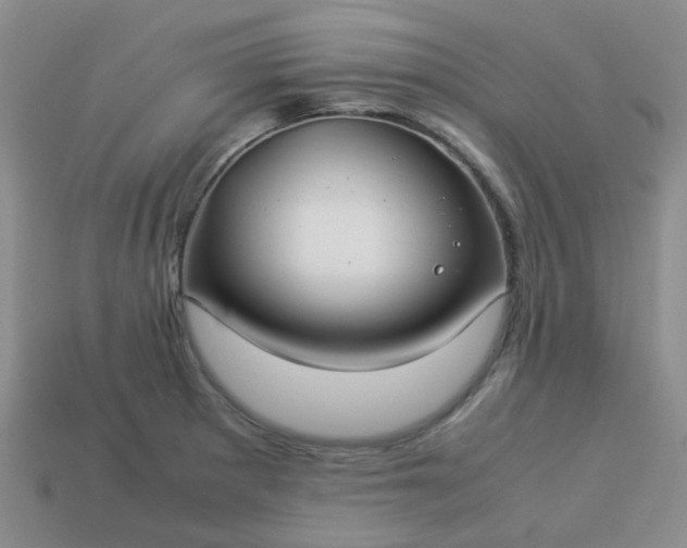 X0000114141281200910221517