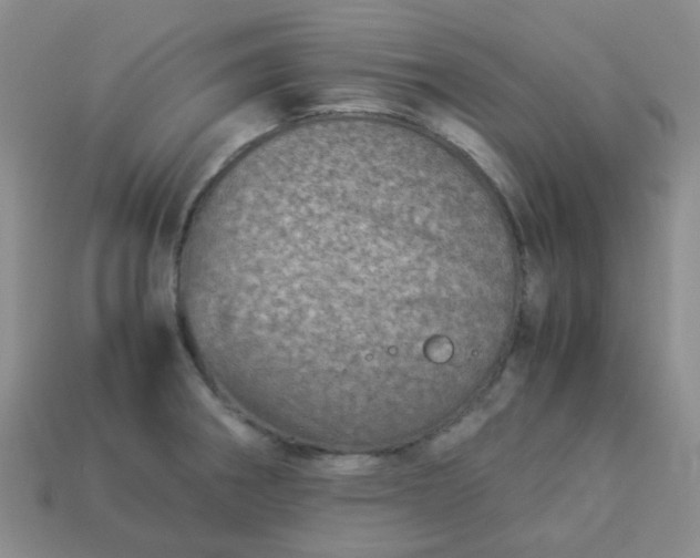 X0000114141282200910221517