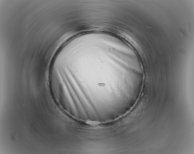 X0000114141283200910221517