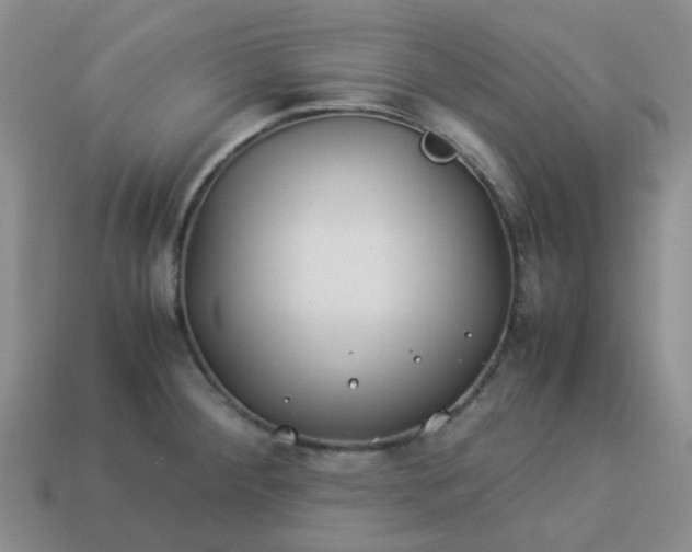 X0000114141284200910221517