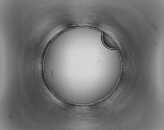 X0000114141285200910221517