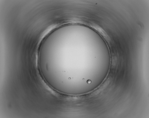 X0000114141286200910221517