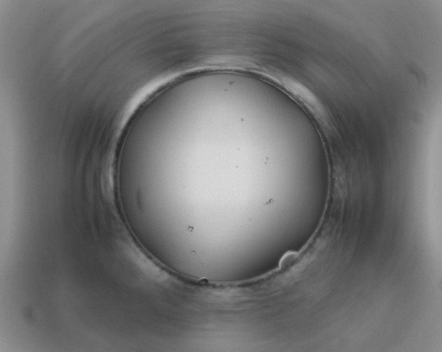 X0000114141288200910221517