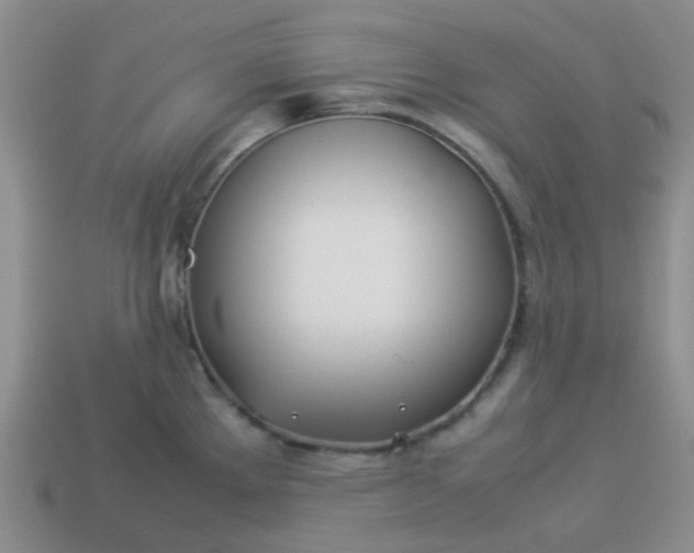 X0000114141289200910221517