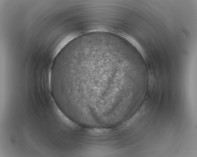 X0000114141290200910221517